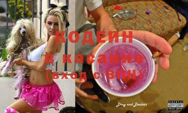 индика Сясьстрой