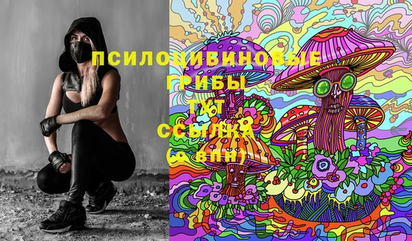 синтетический гашиш Белокуриха