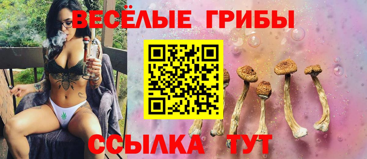 Галлюциногенные грибы мицелий  Вход с VPN  Буйнакск  Псилоцибиновые грибы мухоморы 